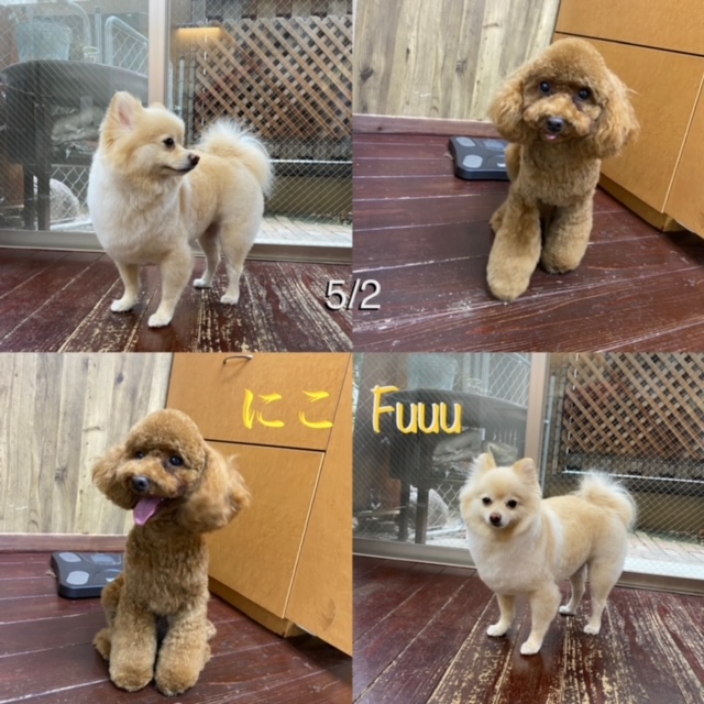 Fuuuちゃん?ニコちゃん?