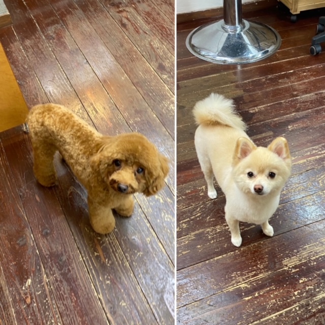 Fuuuちゃん?ニコちゃん?