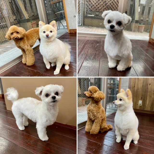 Fuuuちゃんとニコちゃんとペコちゃん???