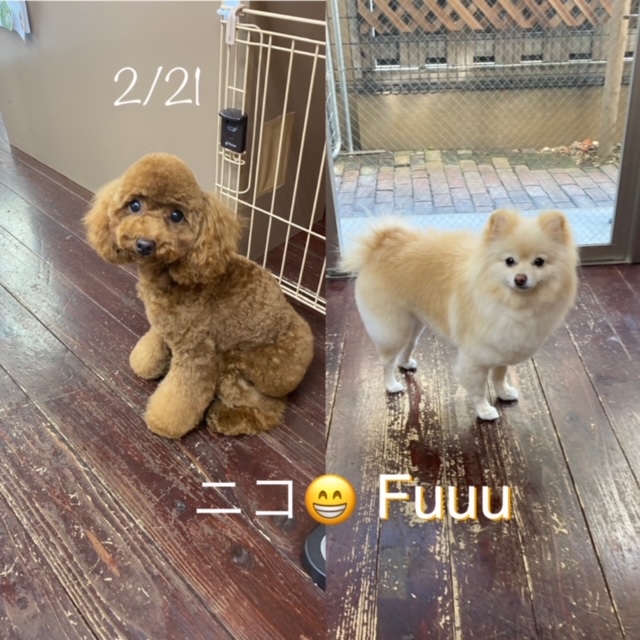 Fuuuちゃん＆ニコちゃん?