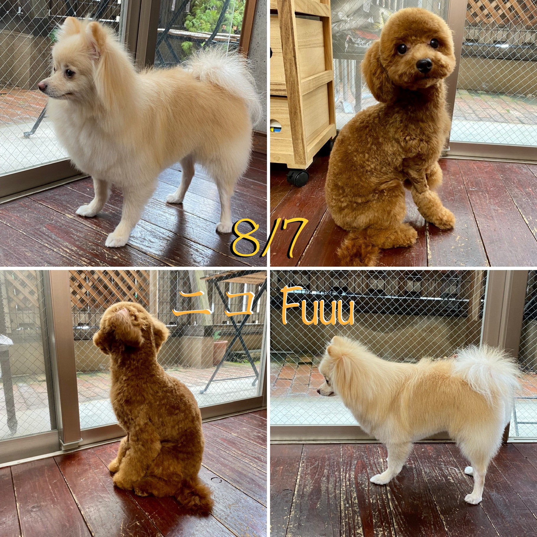 Fuuuちゃん＆ニコちゃん?