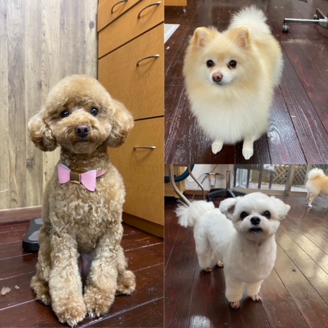 Fuuuちゃんとニコちゃんとペコちゃん???