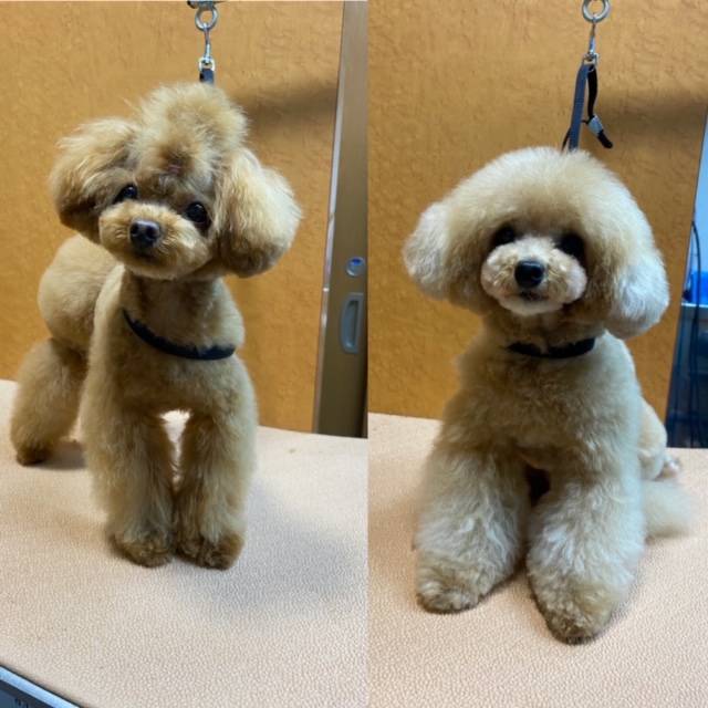 ララ・モナちゃん！