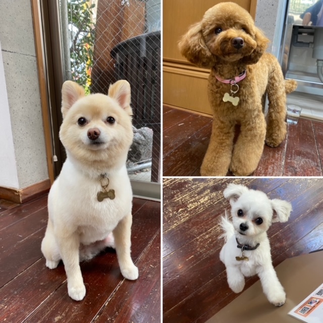 Fuuuちゃんとニコちゃんとペコちゃん?