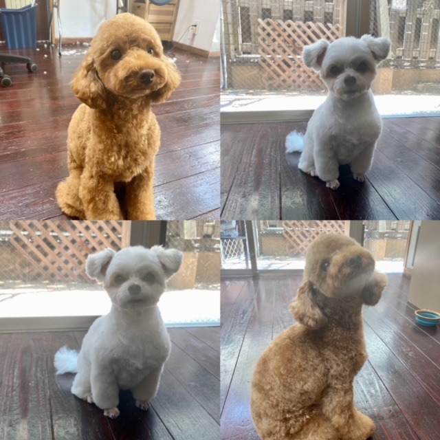 ニコちゃんとペコちゃん??