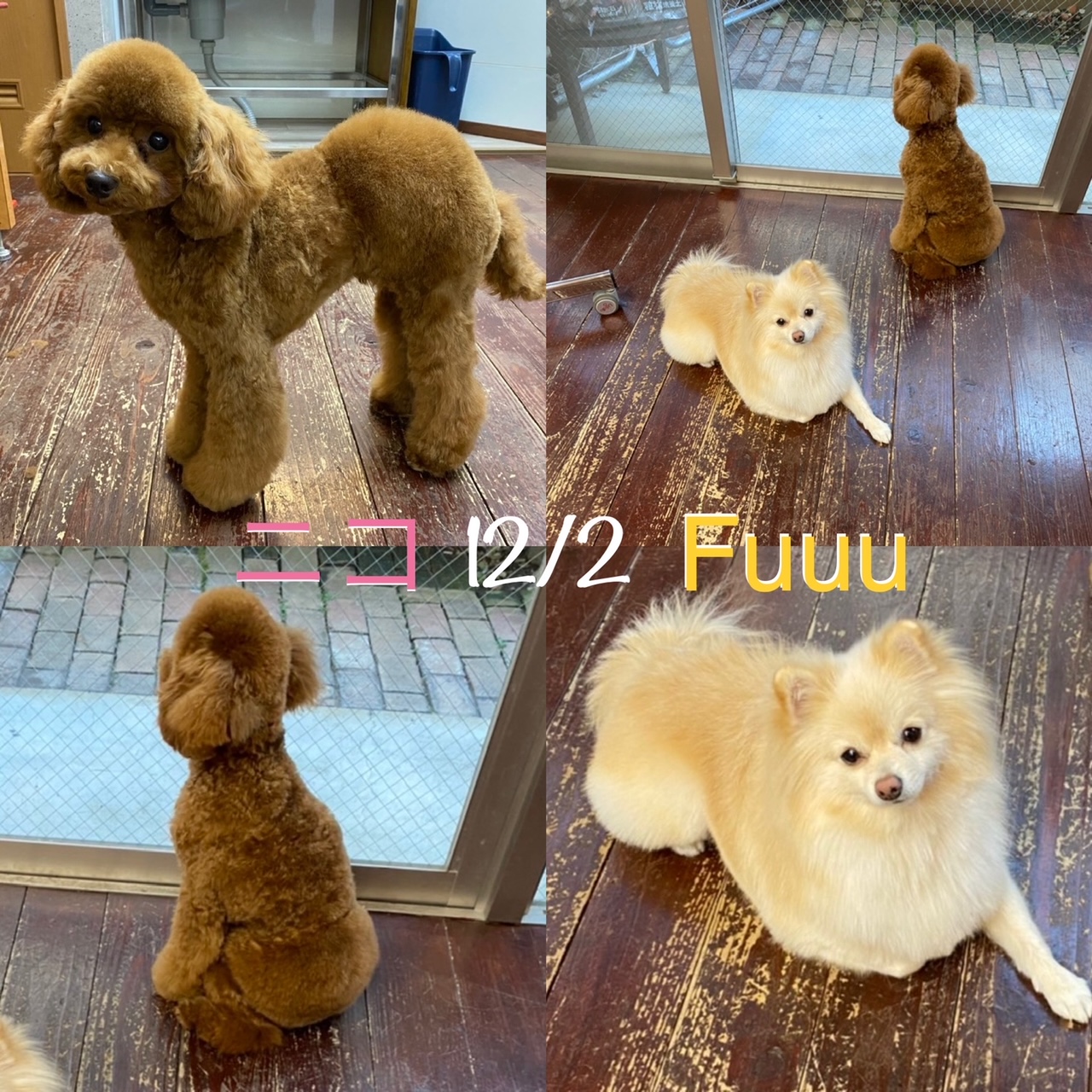 Fuuu＆ニコちゃん?