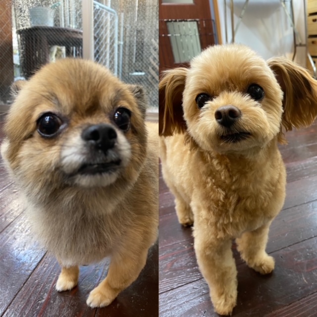 イルちゃんtoアムちゃん??