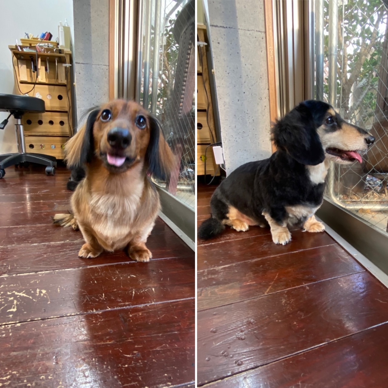 こうた&福ちゃん?