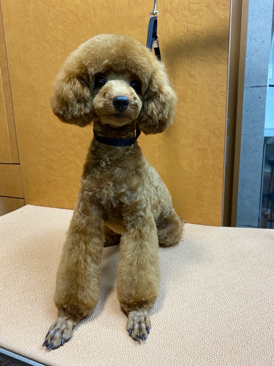 さだはるちゃん！