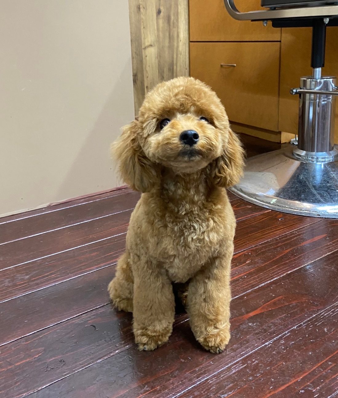 希空(ﾉｱ)ちゃん?