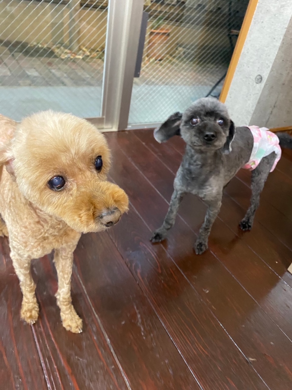 そらちゃん＆まめちゃん??