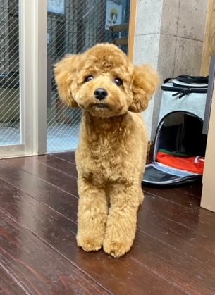 希空(ﾉｱ)ちゃん?