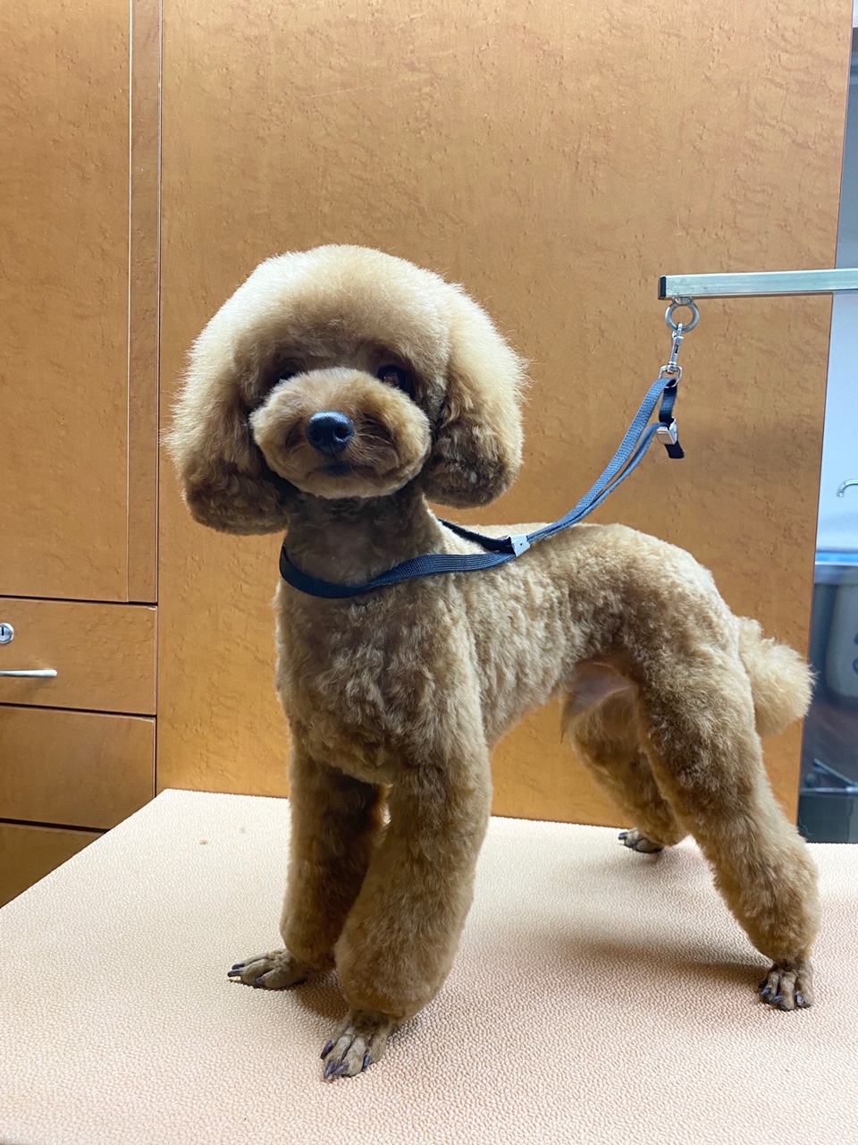 さだはるちゃん?