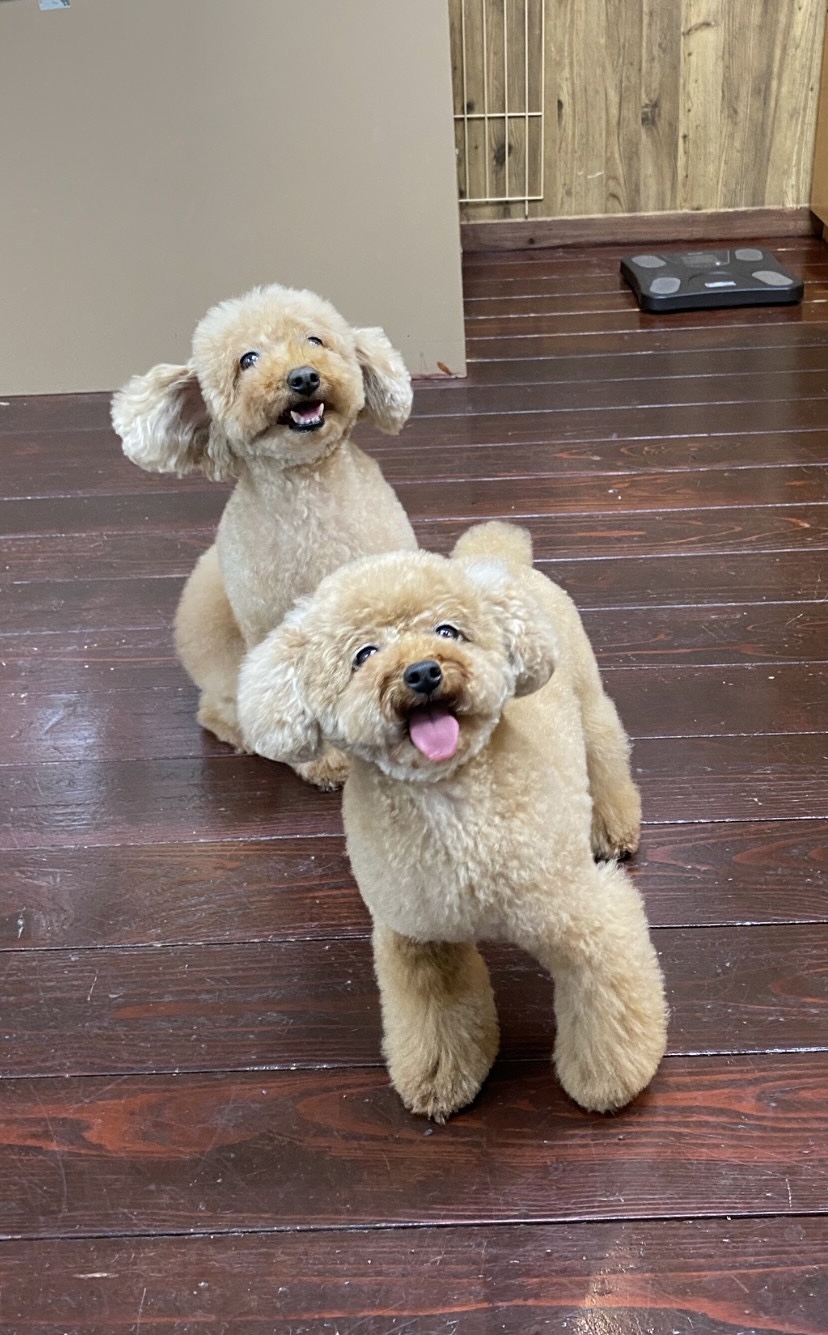 グリコ・マルコちゃん(双子ちゃん)??