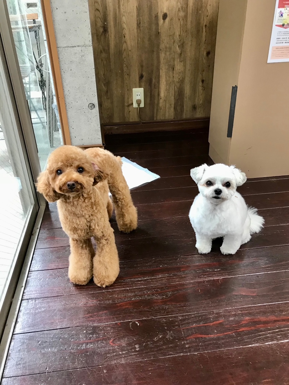 ニコちゃん?ペコちゃん?