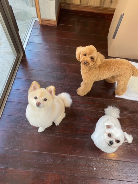 Fuuuちゃんとニコちゃんとペコちゃん???