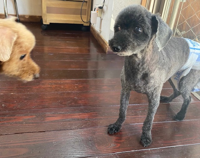 そらちゃん&まめちゃん??