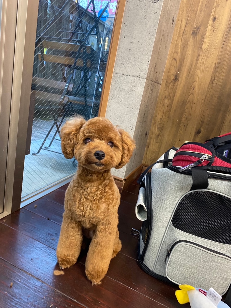 希空(ノア)ちゃん?