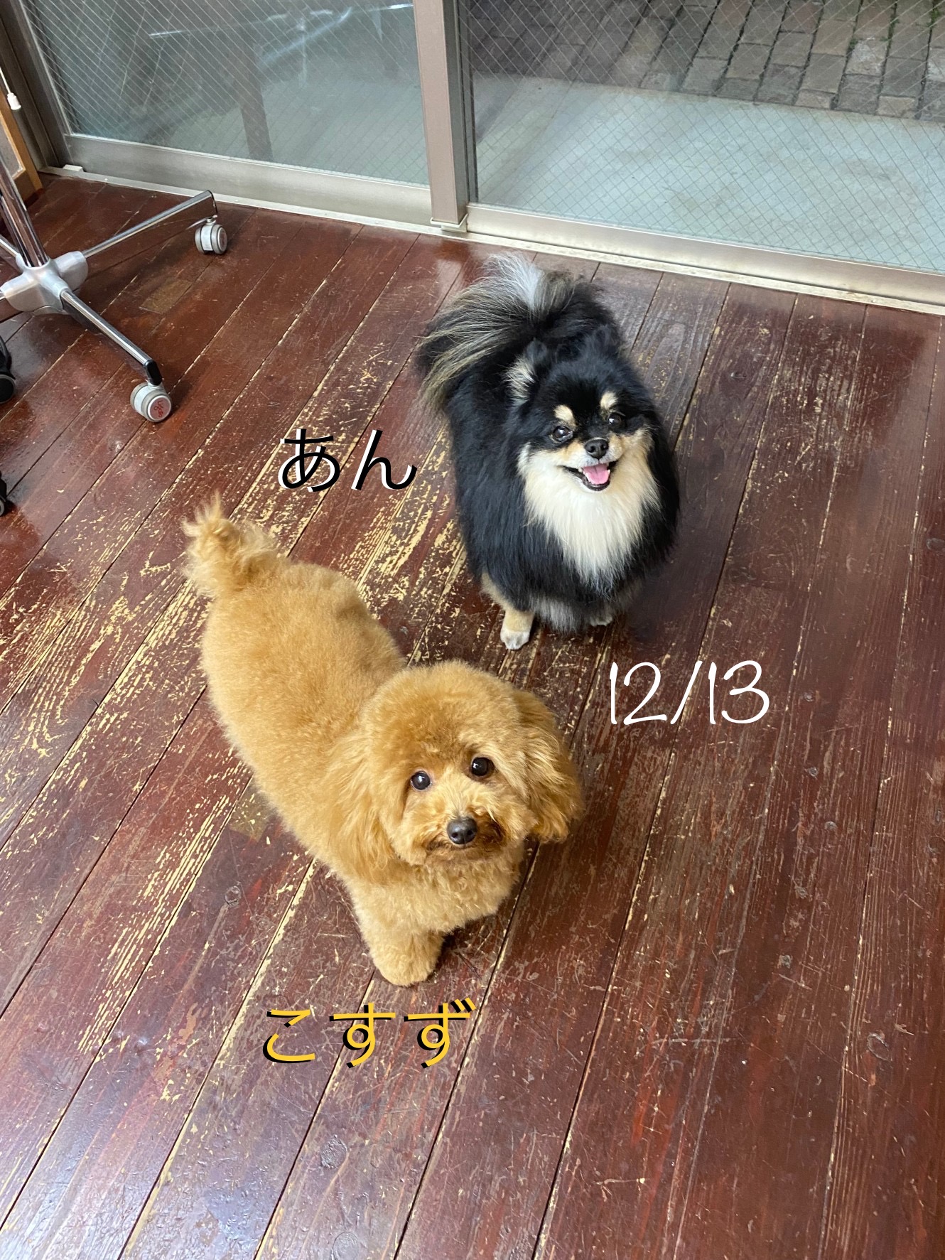 あんちゃんア～ンドこすずちゃん?