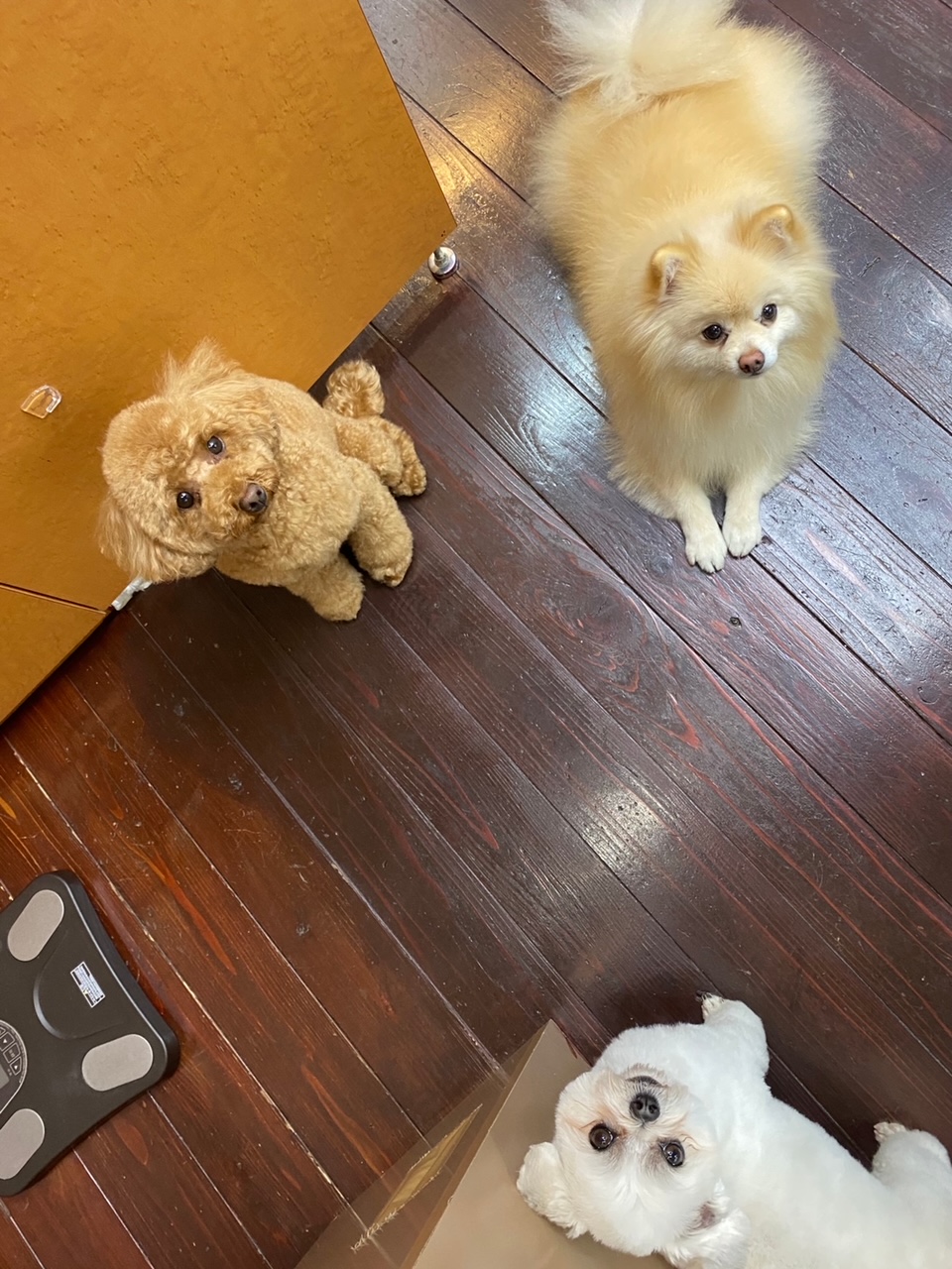 Fuuuちゃん?ニコちゃん?ペコちゃん?