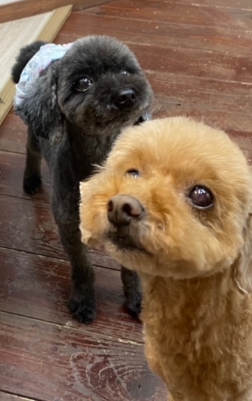 そらちゃん&まめちゃん?