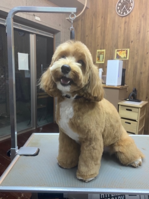 ソルちゃん！！