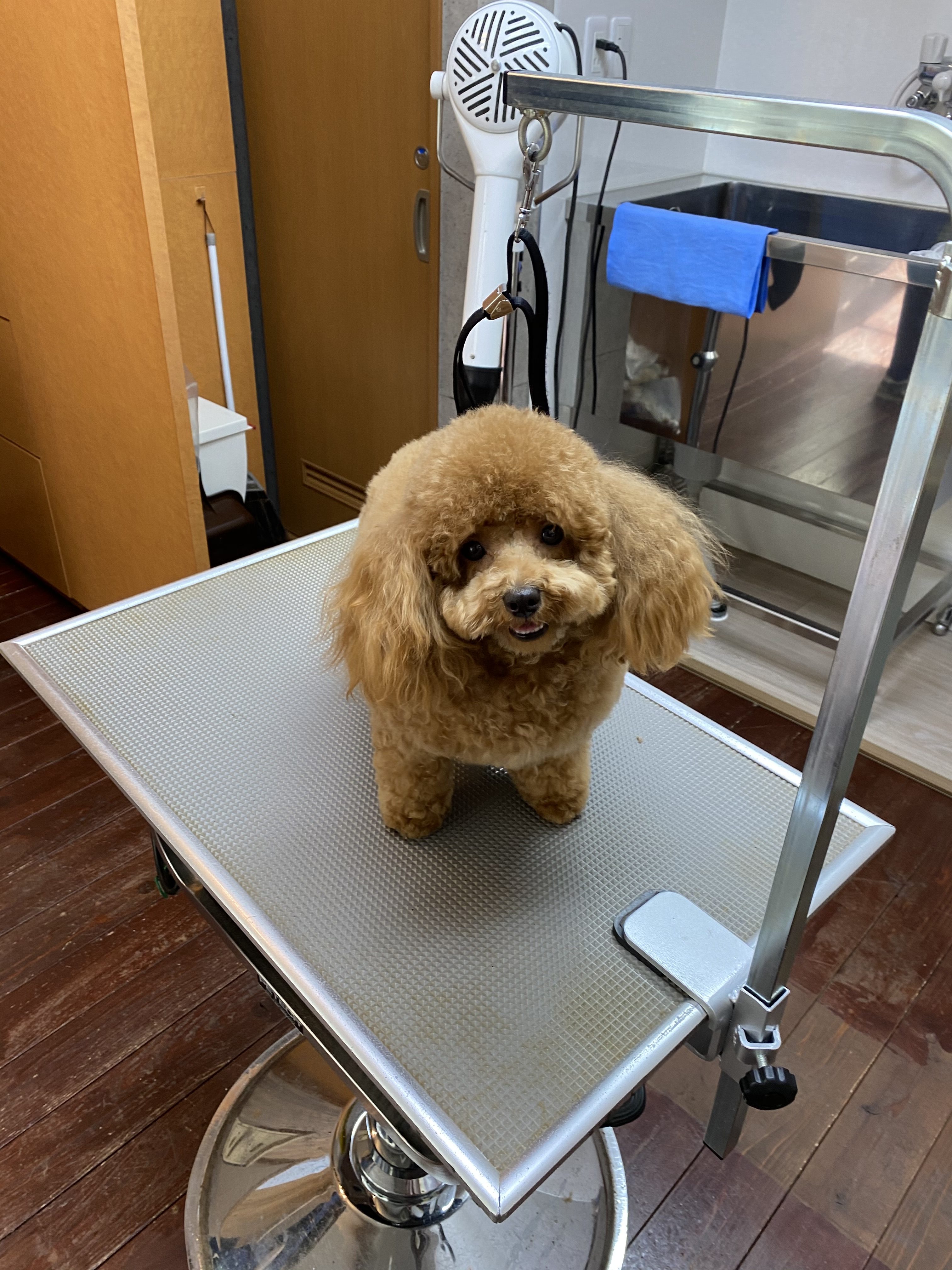 レイナちゃん！