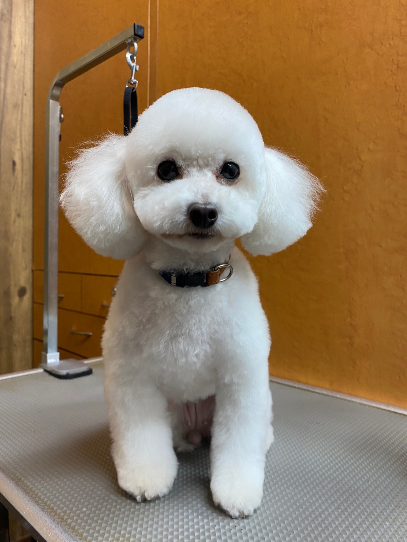 くららちゃん！