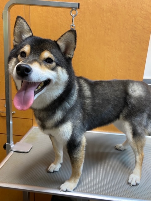 みみちゃんと見守りゆうたちゃん！