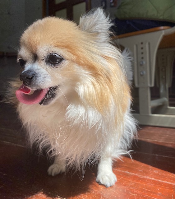 親ばか投稿！！