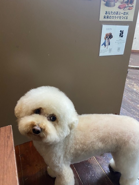 龍(りょう)ちゃん